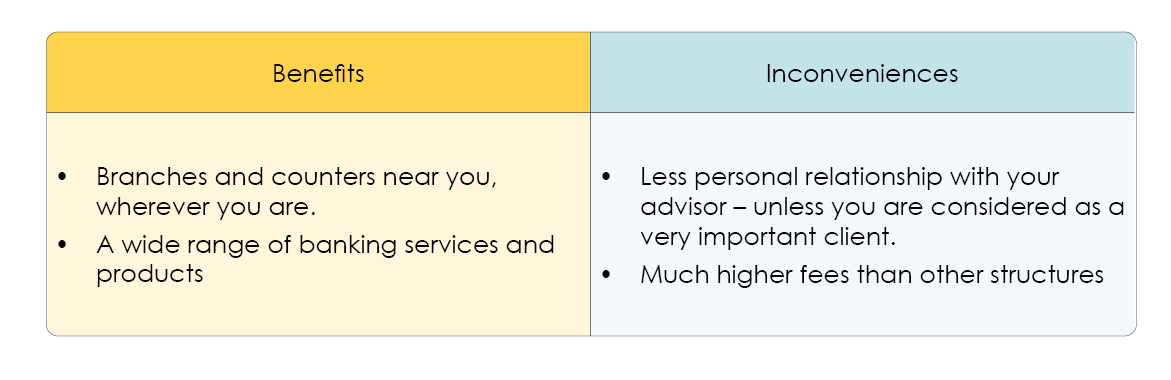 Comparison of the advantages and disadvantages of international, systemic banks. 