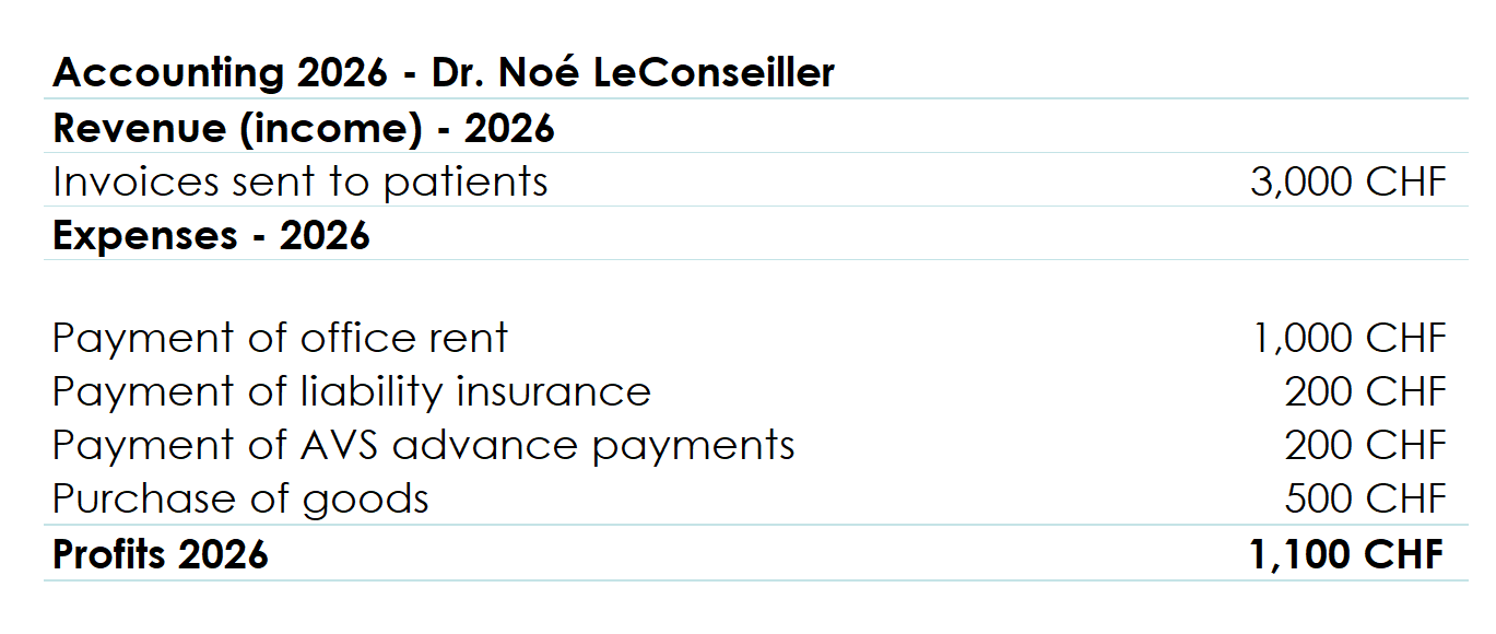 Example of an income statement: “milk book” accounting