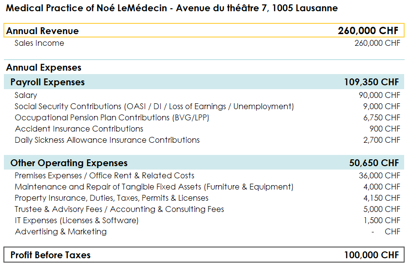 Medical Practice Income Statement (Excerpt)